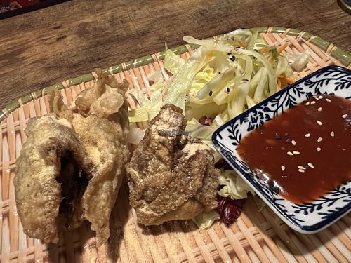 wan tans  at Vegan 1983 in Erfurt