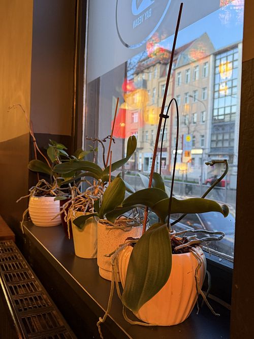 inside  at Bay Vegan in Halle