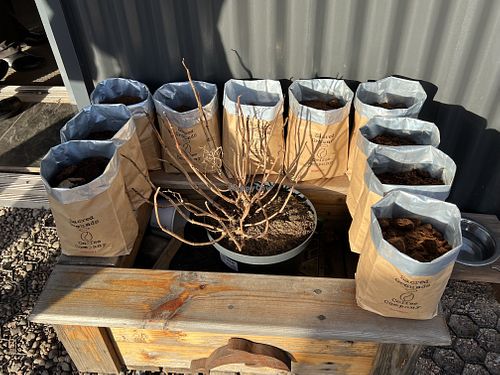   at The Liberty Kitchen in Banchory