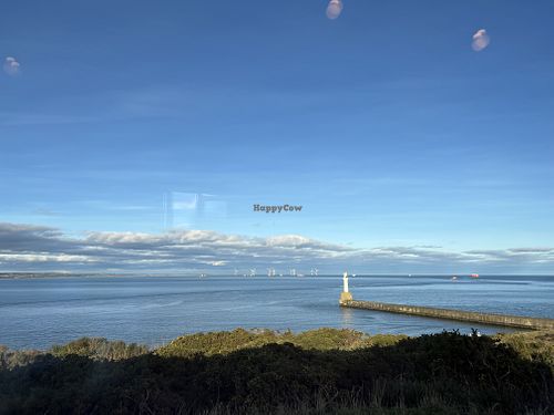 View from the cafe   at The Liberty Kitchen in Banchory