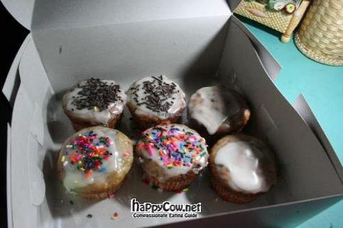 Vegan cupcakes special ordered at Fine Grains Bakery in Kathmandu