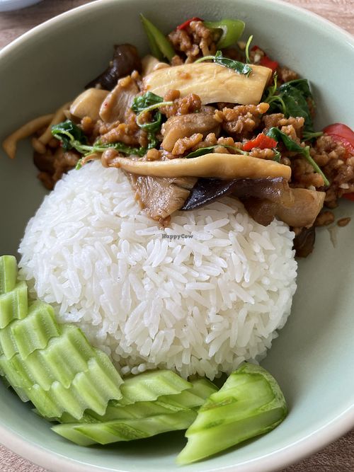 Pad krapow   at Green Dining in Hua Hin