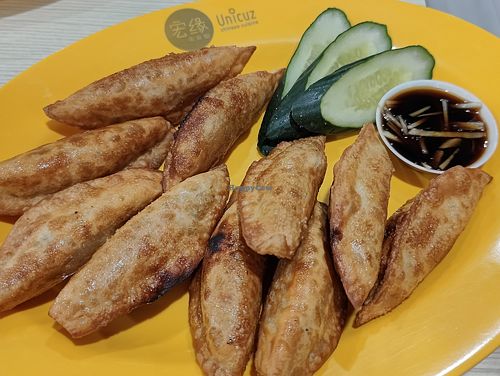fried dumplings at Unicuz Vegetarian 宏缘素食 - Aperia Mall in Central Singapore
