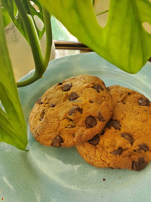   at Nirvana Coffee Company in Barnstable