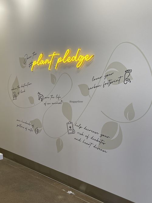 .  at Stalk & Spade in Edina