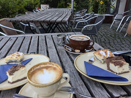 We shared two vegan cakes: marmor cheesecake and poppyseed cake. at Suedbrause Bei Freunden in Leipzig