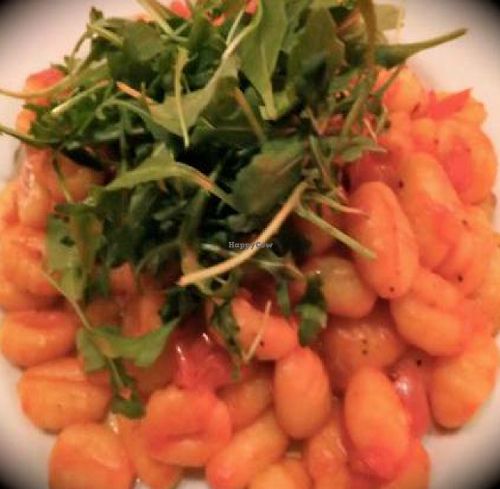 Tomato gnocci, a special, and delicious! at Saramago Cafe Bar in Glasgow