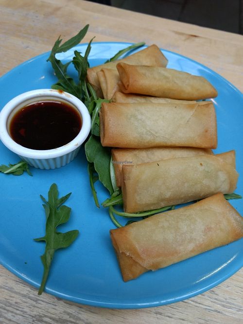 spring rolls at Saramago Cafe Bar in Glasgow