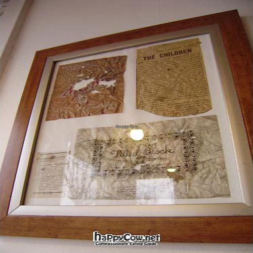 More examples of items found in the work to the main house, on display in the breakfast room at The Base - Fishponds Rd in Bristol