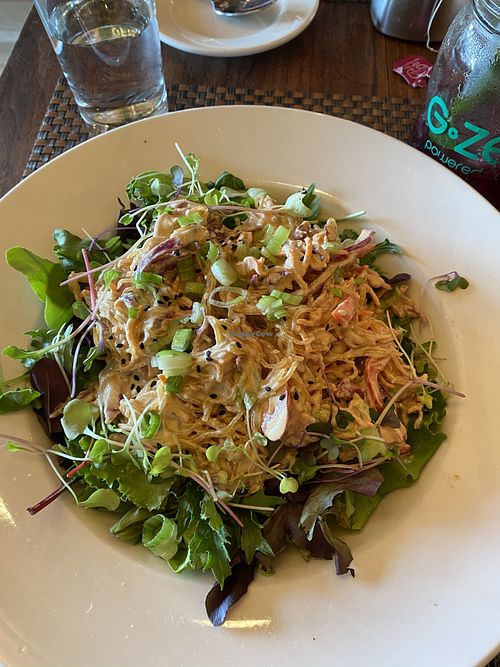 Kelp noodle special  at G-Zen in Branford