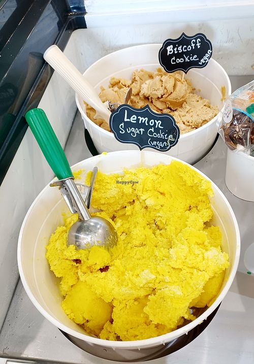 Image of Twisted Roots Frozen Yogurt