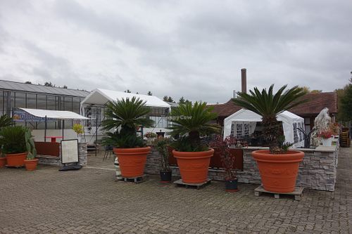 Outdoor seating - and "Kakteenland" ("cactus land") on the left at Zum Schwiegermuttersitz in Steinfeld