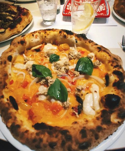  at Al Catzone Pizza Napovegana in Berlin