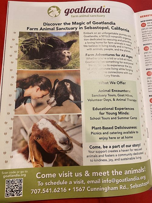 Picked Up a Sonoma County Map & Guide (from the Airport) - What a Gem!  at Goatlandia Farm Animal Sanctuary in Sebastopol