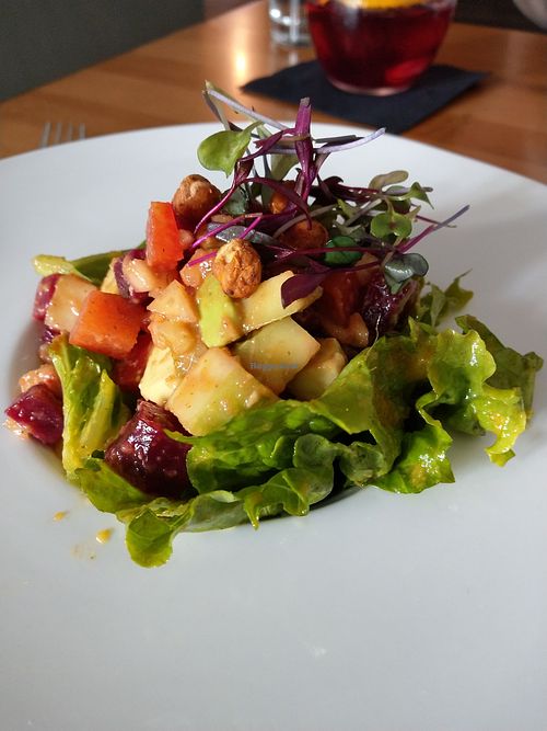 Avocado Salad at Full Taste in Chamblee