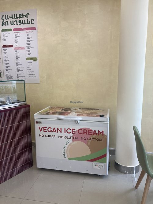 Vegan ice cream!  at SweetLi by Lilit in Yerevan