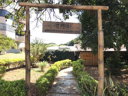   at Coité in Brasilia