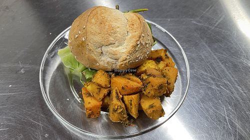 Image of La Selva de los Gatos