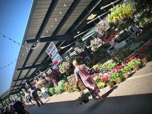 outdoor seating overlooks Capital Market at The Purple Onion in Charleston