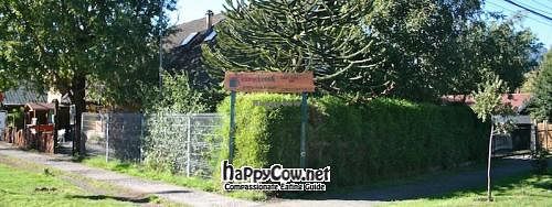 Lounge Brasil frente at Lounge Brasil in Pucon