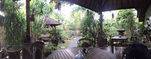 Inside a small beautiful garden  at Tasty Vegan in Seminyak