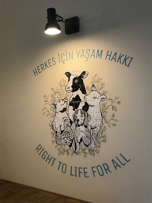  at Vegan Dükkan Lokanta - The Eatery in Istanbul