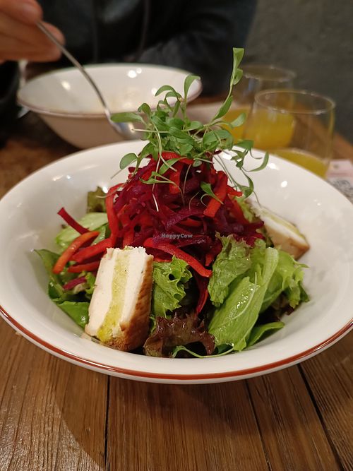Beetroot salad with vegan feta at Vegan Dükkan Lokanta - The Eatery in Istanbul