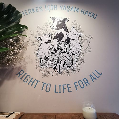 Ayran at Vegan Dükkan Lokanta - The Eatery in Istanbul