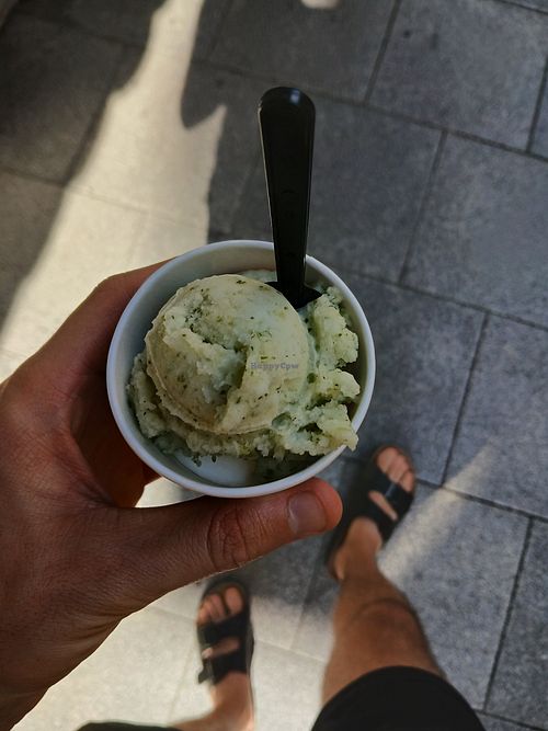  at Capriccio Freddo in Calella