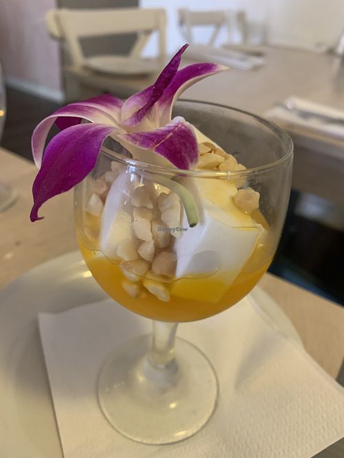 Coconut pudding with mango syrup   at Kau Kau in Sacramento