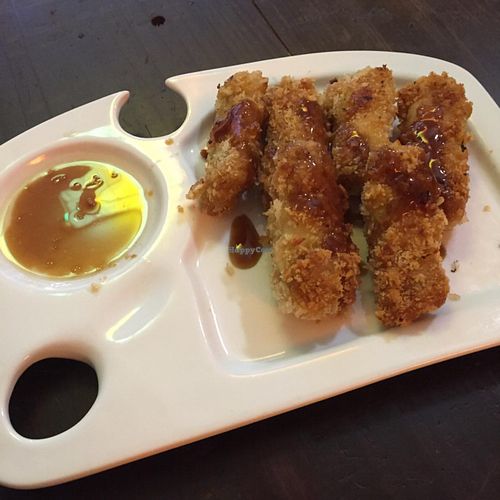 Spring rolls, tasted fantastic  at TerraZen Centre in Amsterdam