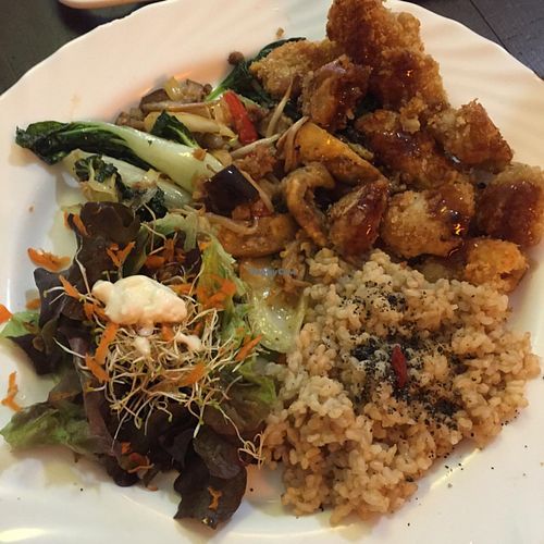 Vegan plate  at TerraZen Centre in Amsterdam