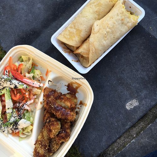 salad, spring rolls and chicken wrap at TerraZen Centre in Amsterdam