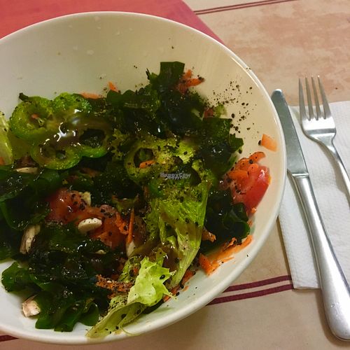 seaweed salad at TerraZen Centre in Amsterdam