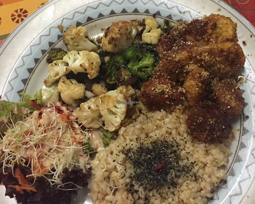 vegan plate at TerraZen Centre in Amsterdam