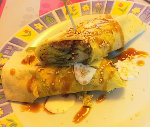 Lovely chicken wrap  at TerraZen Centre in Amsterdam