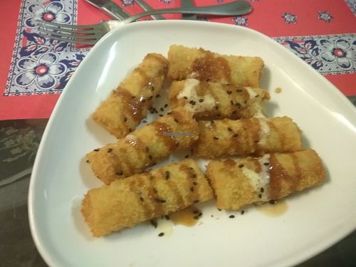 Spring rolls 6,80euros at TerraZen Centre in Amsterdam