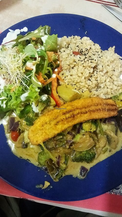 Jamaican plate at TerraZen Centre in Amsterdam