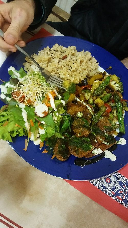 Vegan plate at TerraZen Centre in Amsterdam