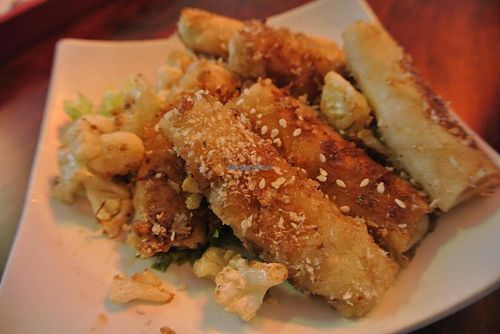 TerraZen Centre at TerraZen Centre in Amsterdam