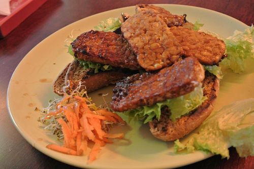 TerraZen Centre at TerraZen Centre in Amsterdam