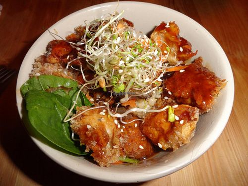 Bowl of rice and vegan chicken at TerraZen Centre in Amsterdam