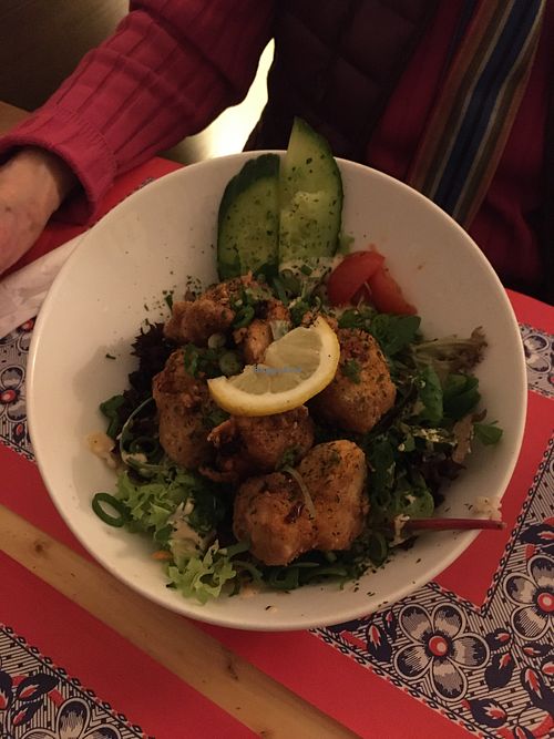 Karaage  at TerraZen Centre in Amsterdam