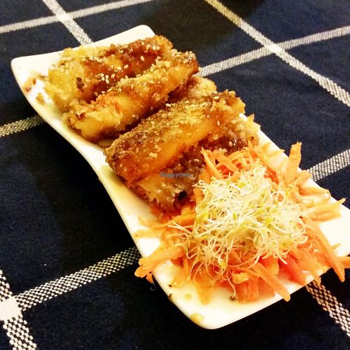 spring rolls  at TerraZen Centre in Amsterdam