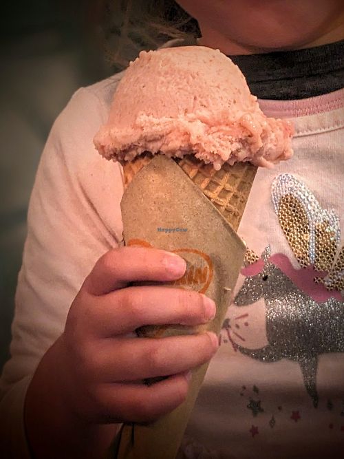 Strawberry at Rollickin Gelato Cafe in Christchurch