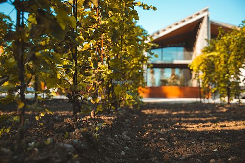  at La Cantina Pizzolato in Villorba