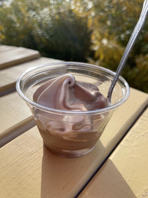 Vegan soft serve   at Station No. 3 in St Louis