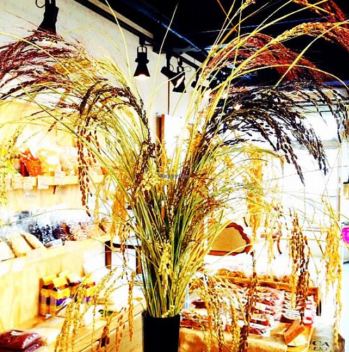 The 2nd floor organic store display is a variety of colorful organic rice varieties, which are also for sale. at Vegans Cafe and Restaurant in Kyoto