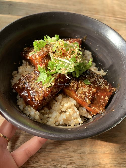 My meal at Vegans Cafe and Restaurant in Kyoto