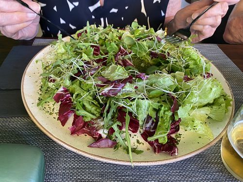   at The Botanist in Zadar